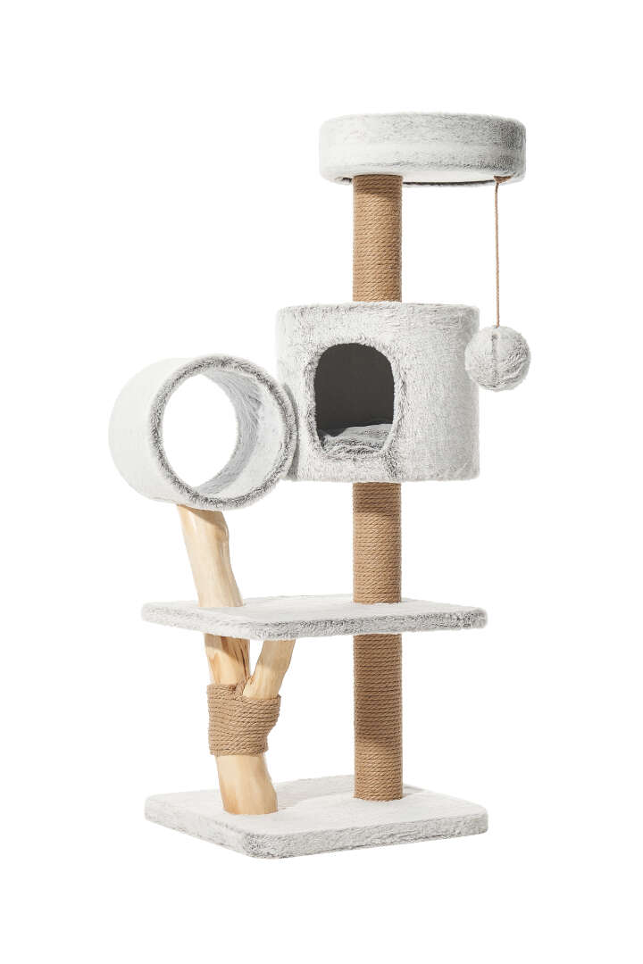 Nobby Kratzbaum Runa